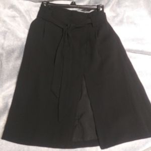 NWT Express Skirt